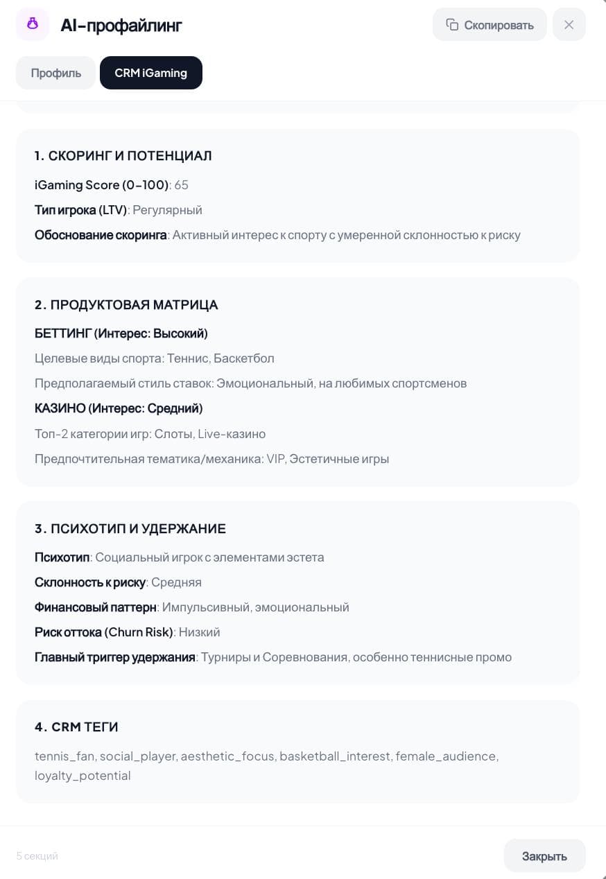 AI Profile - CRM iGaming Analysis